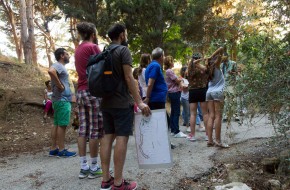 36037152_254976021724429_4805912608580304896_o