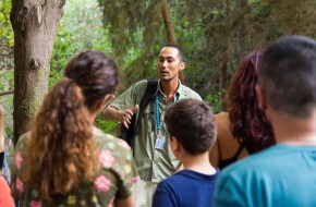 36177138_254975078391190_7325565446340476928_o