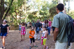 35439683_254977061724325_23011296605634560_o