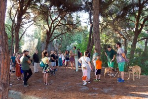 36088109_254976608391037_1150326047279939584_o