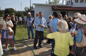 ΑΛΟΓΑΚΙΑ ΑΡΧΑΓΓΕΛΟΥ