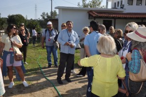 ΑΛΟΓΑΚΙΑ ΑΡΧΑΓΓΕΛΟΥ