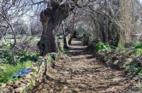 275399685_1323064228166855_7110738934264086487_n (1)