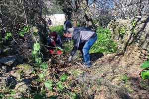 275459665_663323774898773_3741891621579712682_n